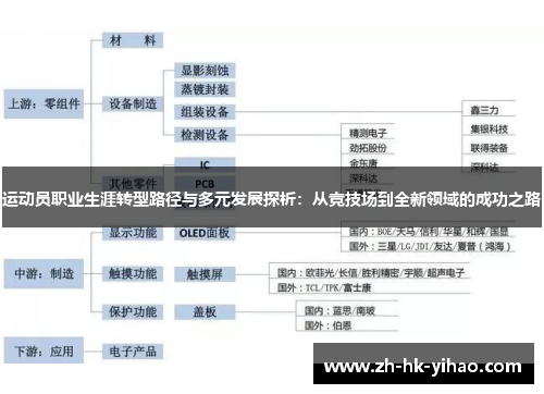 运动员职业生涯转型路径与多元发展探析：从竞技场到全新领域的成功之路